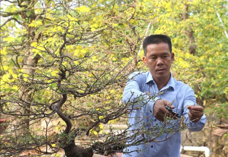 Giới thiệu